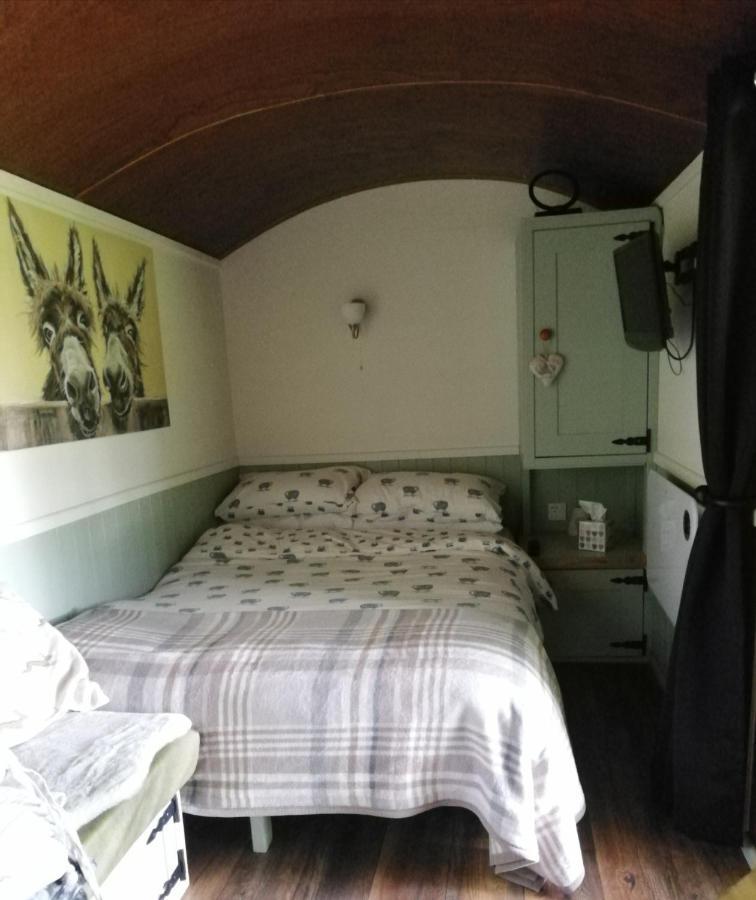 Durham Donkey Rescue Shepherd'S Hut Hotel Eksteriør billede