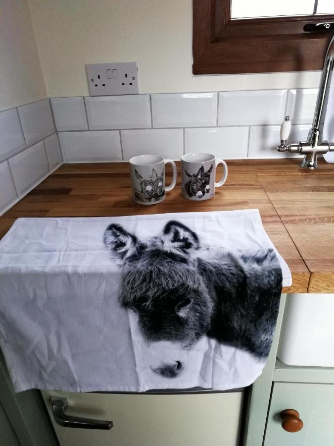 Durham Donkey Rescue Shepherd'S Hut Hotel Eksteriør billede