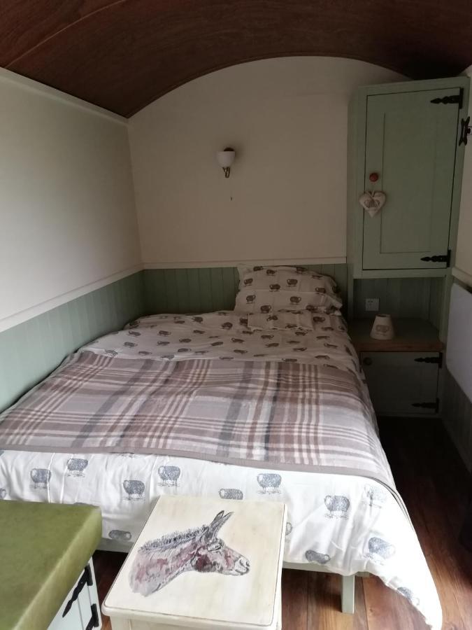 Durham Donkey Rescue Shepherd'S Hut Hotel Eksteriør billede